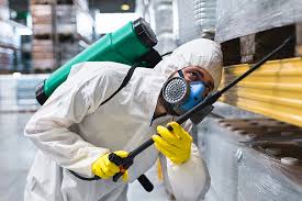 Best Fumigation Services  in Thatcher, AZ